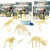 Educators Resource HamiltonBuhl Paleo Hunter Dig Kit - Complete Dinosaur Excavation Set for STEAM Learning* Science & Discovery