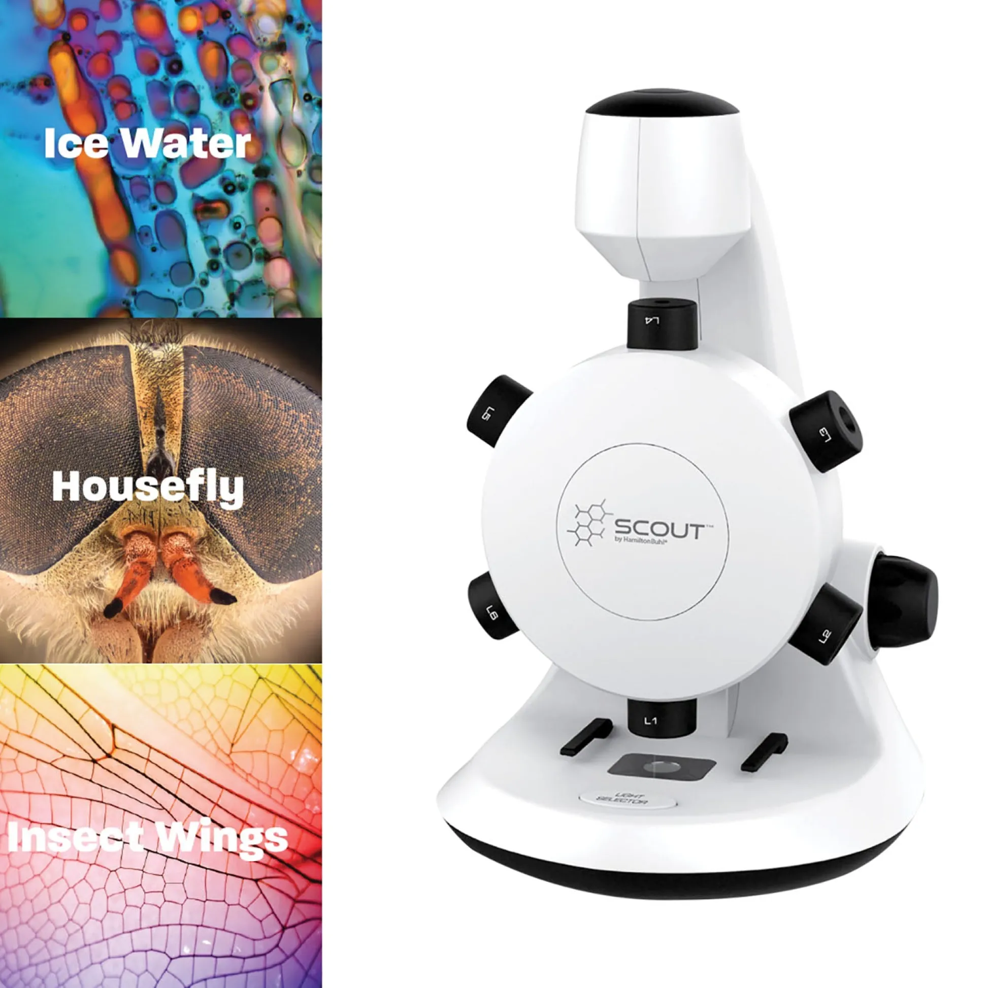 Educators Resource HamiltonBuhl Scout Digital Microscope - STEM Educational Kit with Six Lenses* Science & Discovery