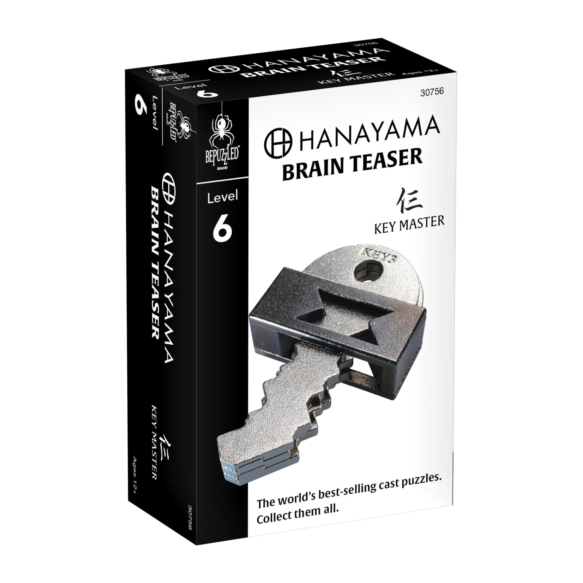 AreYouGame Hanayama Level 6 Cast Puzzle - Key Master Challenge* Puzzles