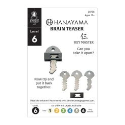 AreYouGame Hanayama Level 6 Cast Puzzle - Key Master Challenge* Puzzles