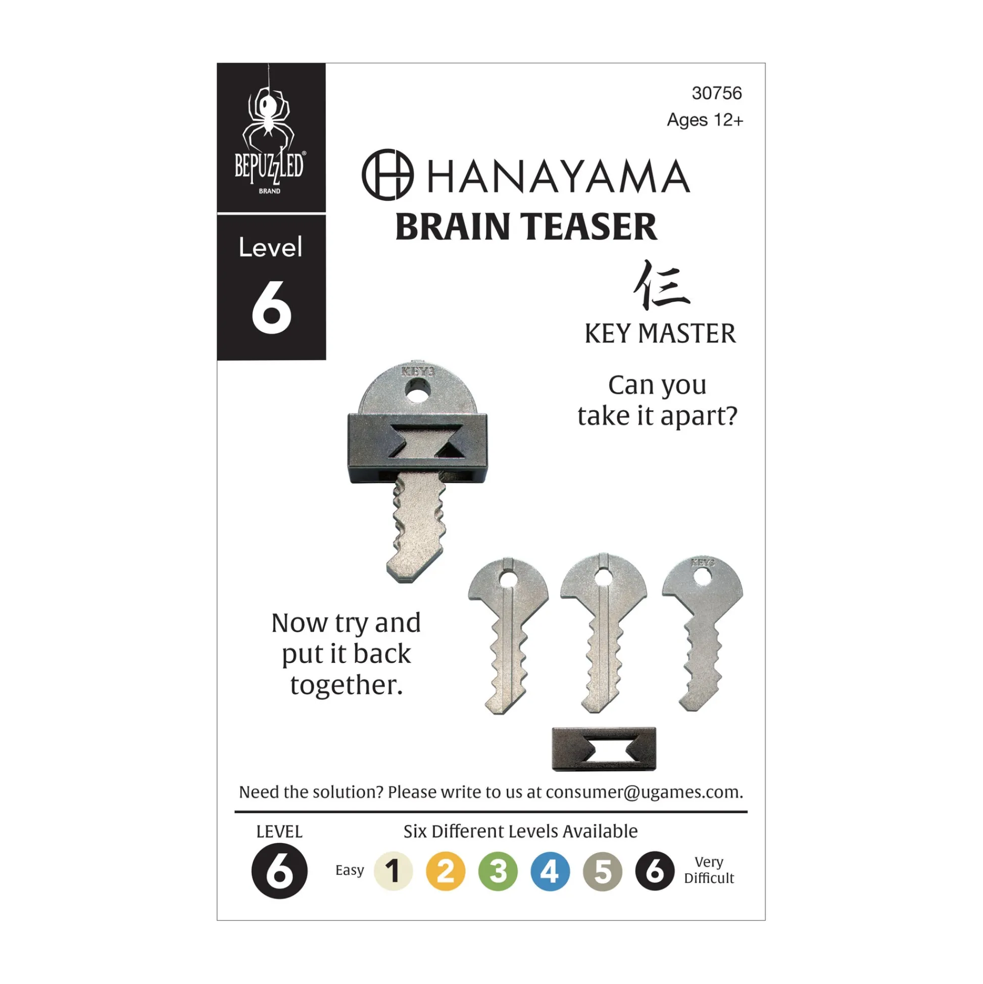 AreYouGame Hanayama Level 6 Cast Puzzle - Key Master Challenge* Puzzles