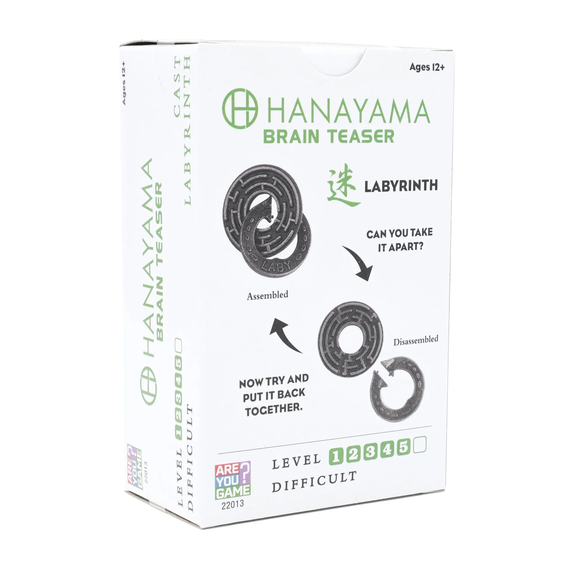 AreYouGame Hanayama Level 5 Cast Puzzle - Labyrinth* Puzzles