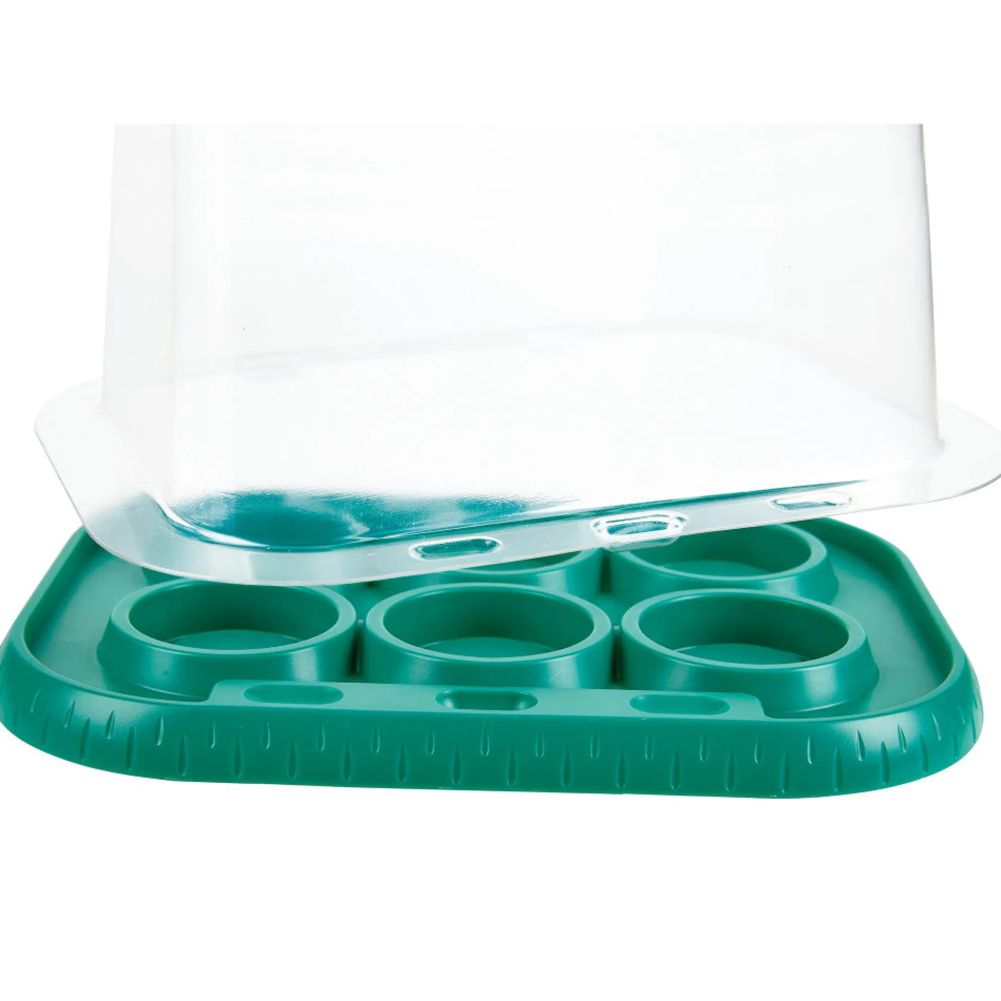Flat River Group Hape Nature Fun Growing Gardeners Greenhouse Kit, Kids Ages 4+* Science Toys