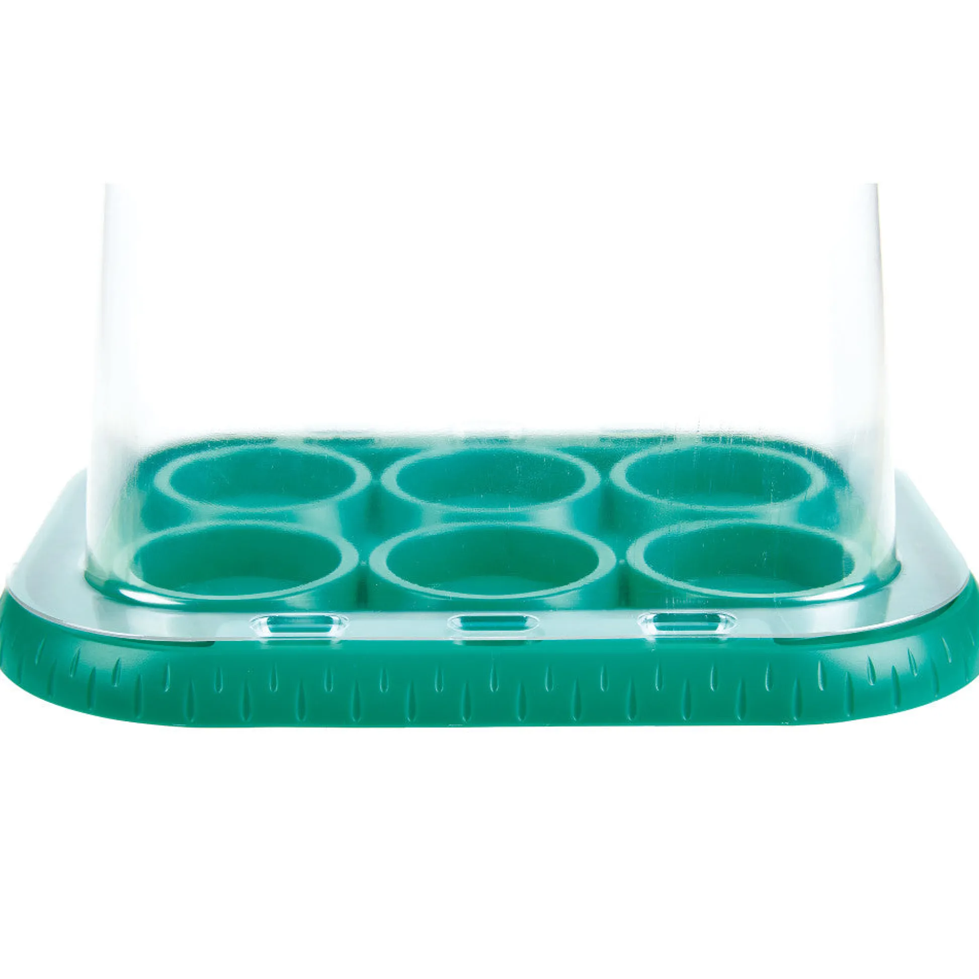 Flat River Group Hape Nature Fun Growing Gardeners Greenhouse Kit, Kids Ages 4+* Science Toys