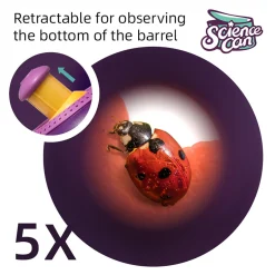 Flat River Group Hape Science Can Insect & Fish Viewer Life Sciences Exploration Kit* Science & Discovery