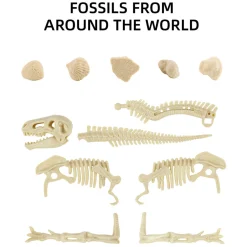 Flat River Group Hape Science Can Mesozoic Era Dinosaur Fossil Excavation Kit* Science & Discovery