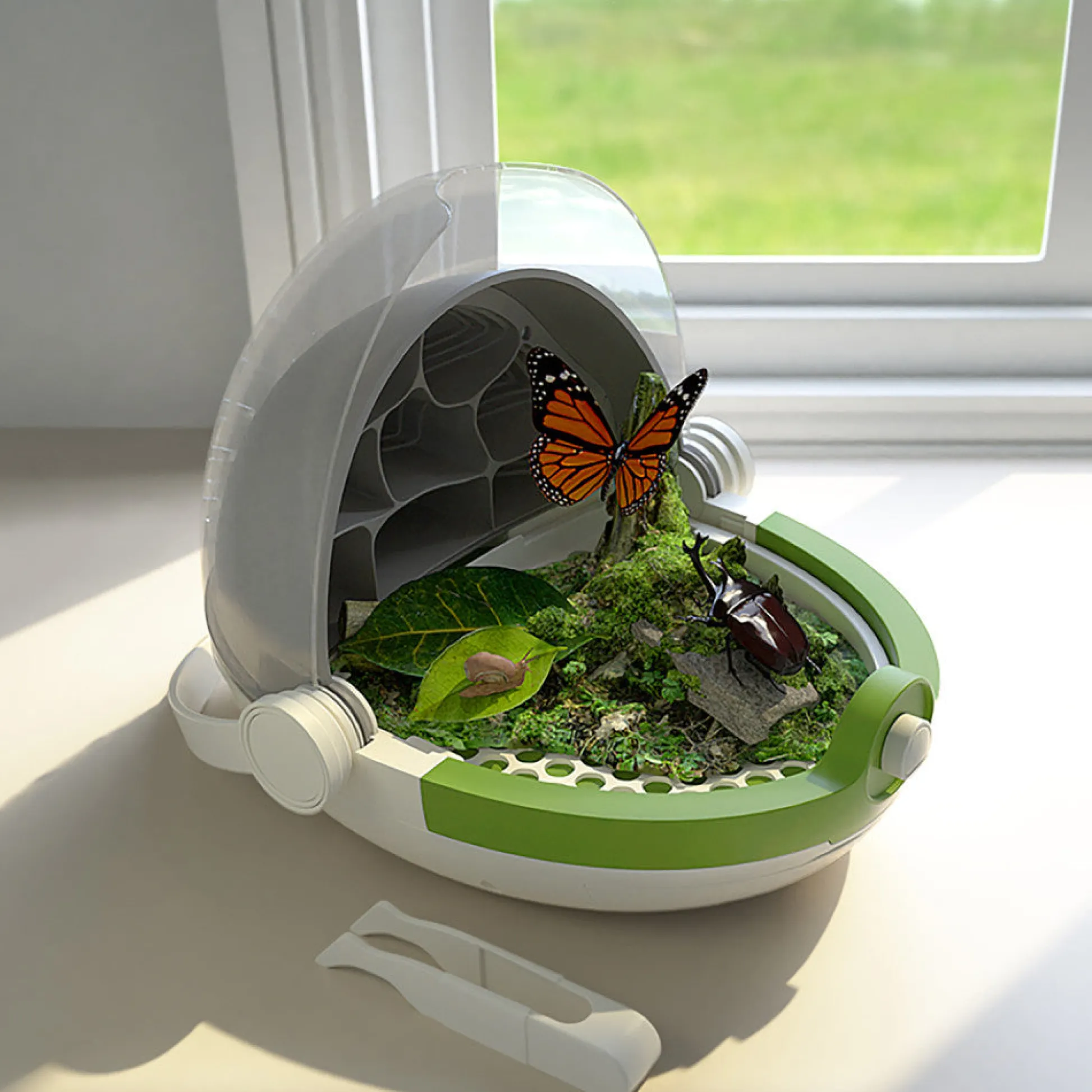 Flat River Group Hape Science Can Silkworm Growth Station Kit - Observe Lifecycle* Science & Discovery