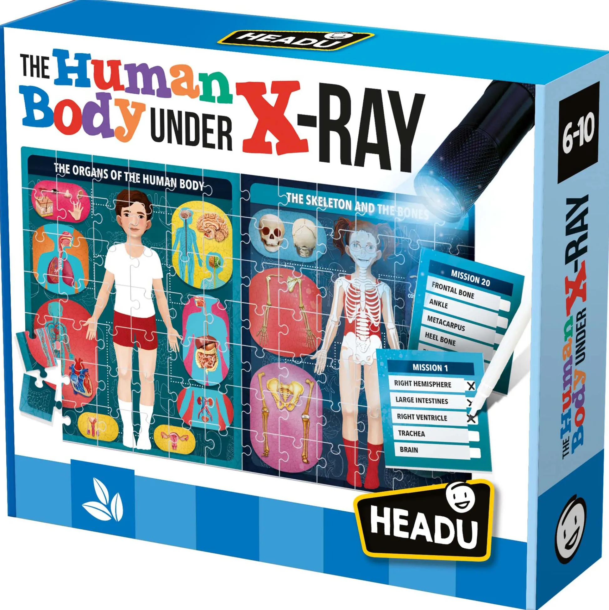 Educators Resource Headu X-Ray Vision Human Body Exploration Kit* Science & Discovery
