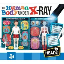 Educators Resource Headu X-Ray Vision Human Body Exploration Kit* Science & Discovery