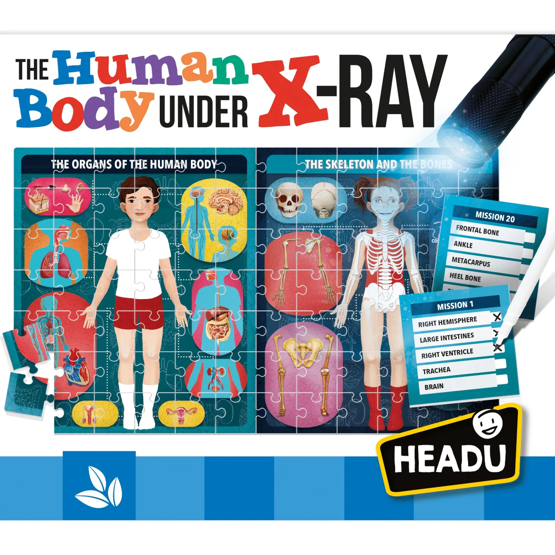 Educators Resource Headu X-Ray Vision Human Body Exploration Kit* Science & Discovery