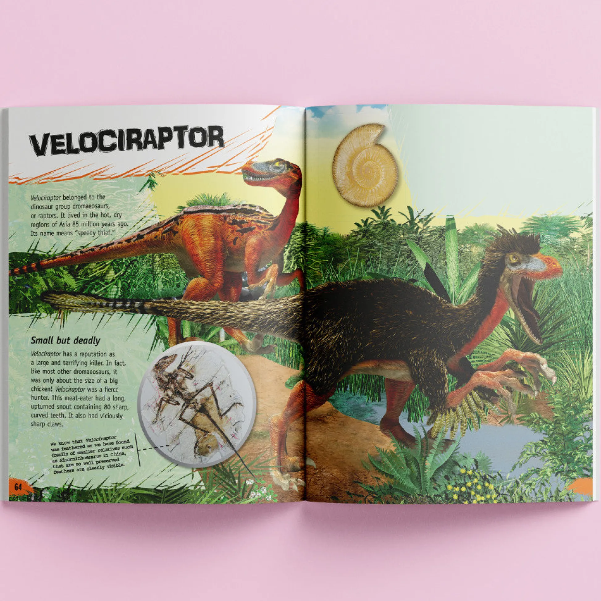 Flat River Group Incredible But True: Dinosaurs - Educational Hardcover Book for Kids*Kids Reading, Writing & Speech|Kids Books