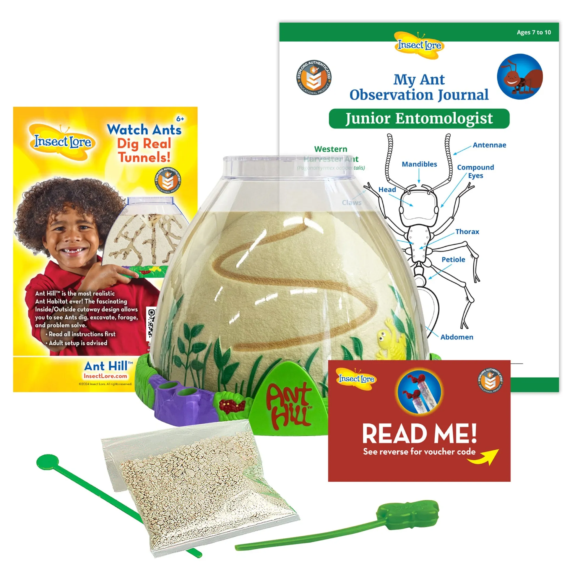 Educators Resource Insect Lore Ant Hill Ant Habitat – Interactive Science Kit* Science & Discovery