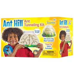 Educators Resource Insect Lore Ant Hill Ant Habitat – Interactive Science Kit* Science & Discovery