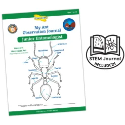 Educators Resource Insect Lore Ant Hill Ant Habitat – Interactive Science Kit* Science & Discovery
