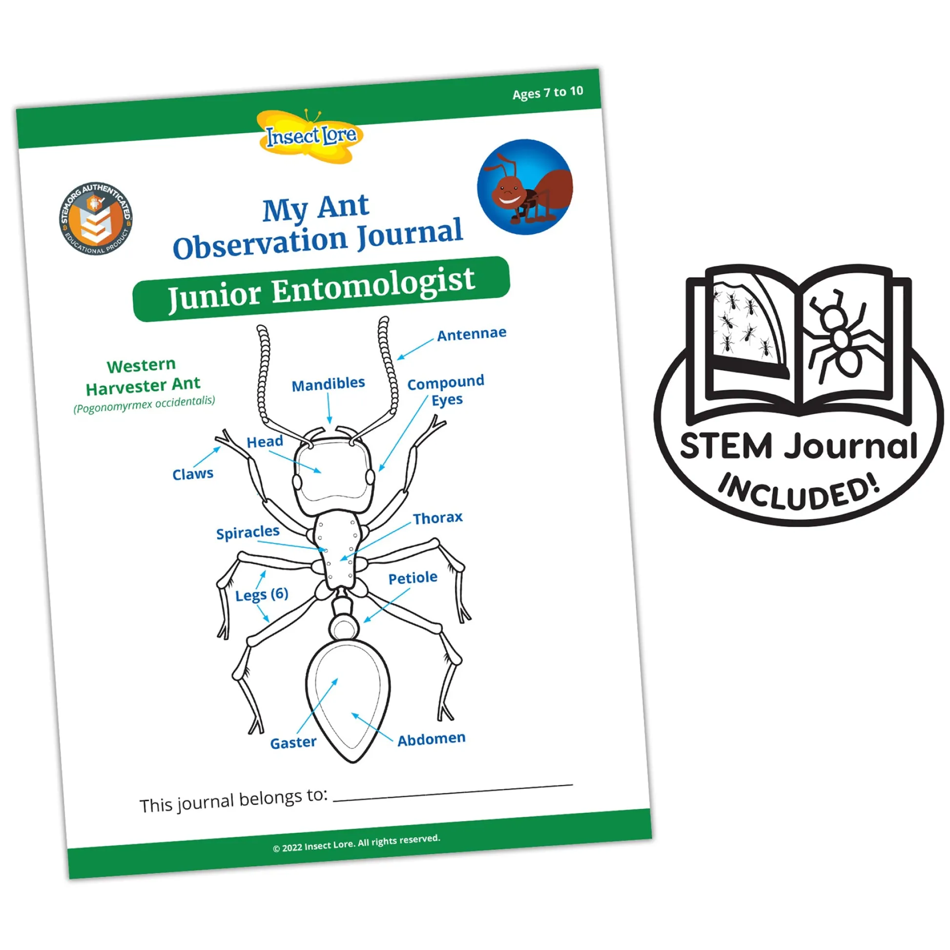 Educators Resource Insect Lore Ant Hill Ant Habitat – Interactive Science Kit* Science & Discovery