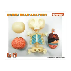 AreYouGame Jason Freeny Funny Anatomy Gummi Bear Model - Transparent Educational Toy* Science & Discovery