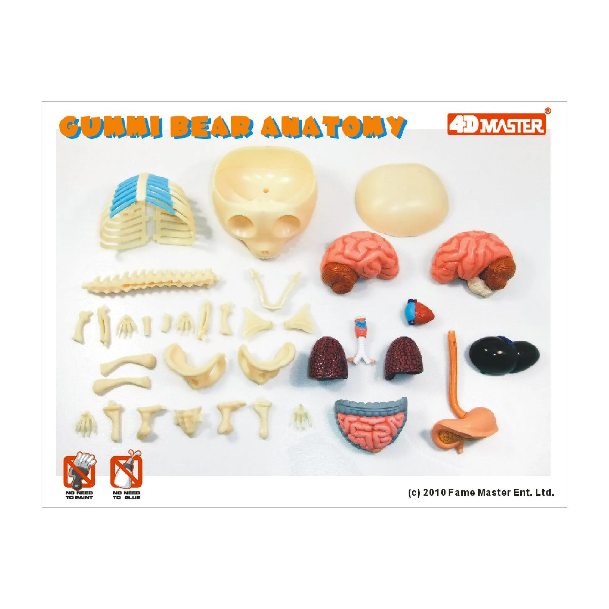 AreYouGame Jason Freeny Funny Anatomy Gummi Bear Model - Transparent Educational Toy* Science & Discovery
