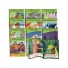 Flat River Group Junior Learning Blend Readers - Fiction Set with Phonics Progression* Reading, Writing & Speech
