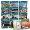 Flat River Group Junior Learning Letters & Sounds Phase 1 Set 2 - Educational Non-Fiction Set* Reading, Writing & Speech