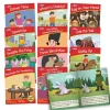 Flat River Group Junior Learning Phase 6 Set 2 - Fiction Readers Educational Set* Reading, Writing & Speech