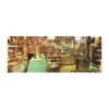 AreYouGame Ken Duncan Panoramic Jigsaw Puzzle - Cataract General Store, Indiana - 504 pc* Puzzles
