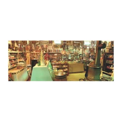 AreYouGame Ken Duncan Panoramic Jigsaw Puzzle - Cataract General Store, Indiana - 504 pc* Puzzles