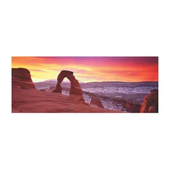 AreYouGame Ken Duncan Panoramics Delicate Arch Puzzle - 504 pcs* Puzzles
