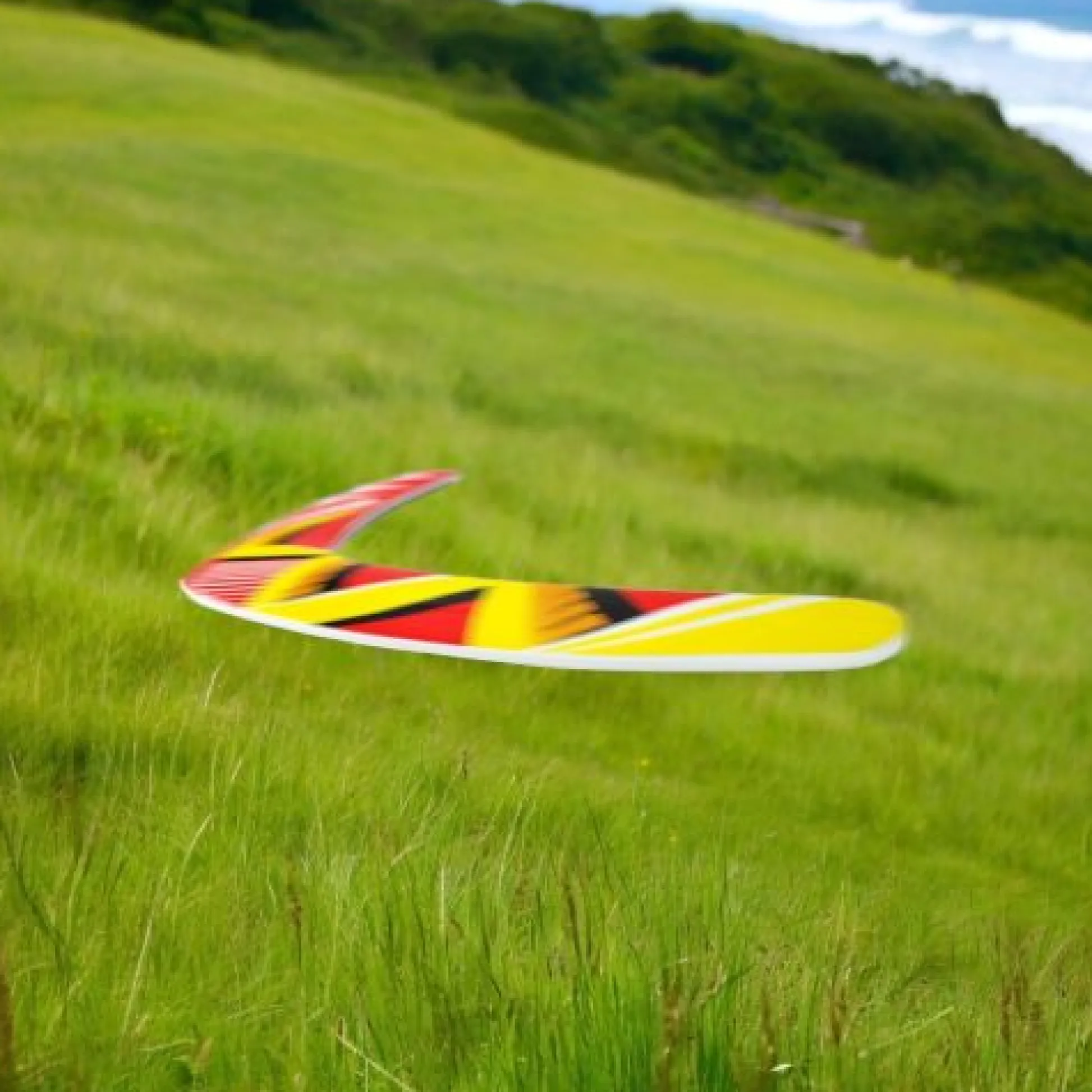 Calendar Holdings, LLC Lanard Ultimate Boomerang - Soar & Score Outdoor Fun* Toy Sports