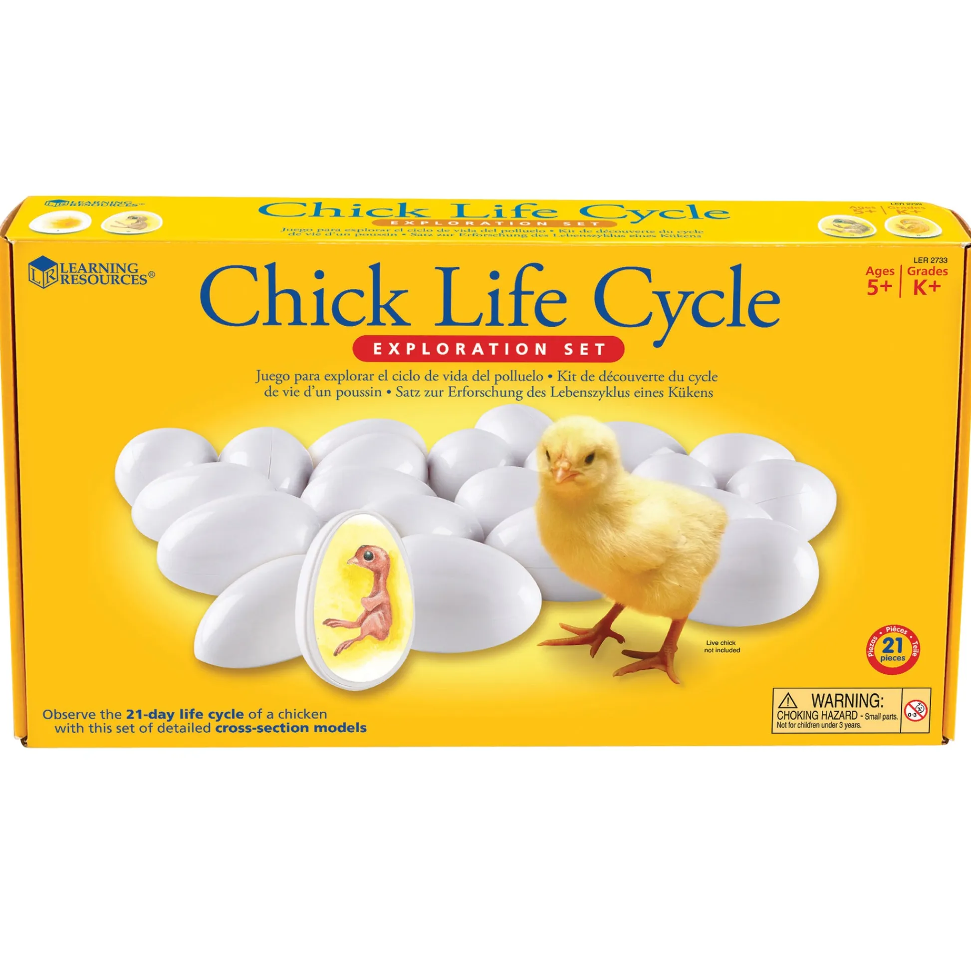 Educators Resource Learning Resources Chick Life Cycle Exploration Set - Educational Science Toy* Science & Discovery