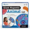 Educators Resource Learning Resources Giant Magnetic Animal Cell Model - Educational Toy* Science & Discovery