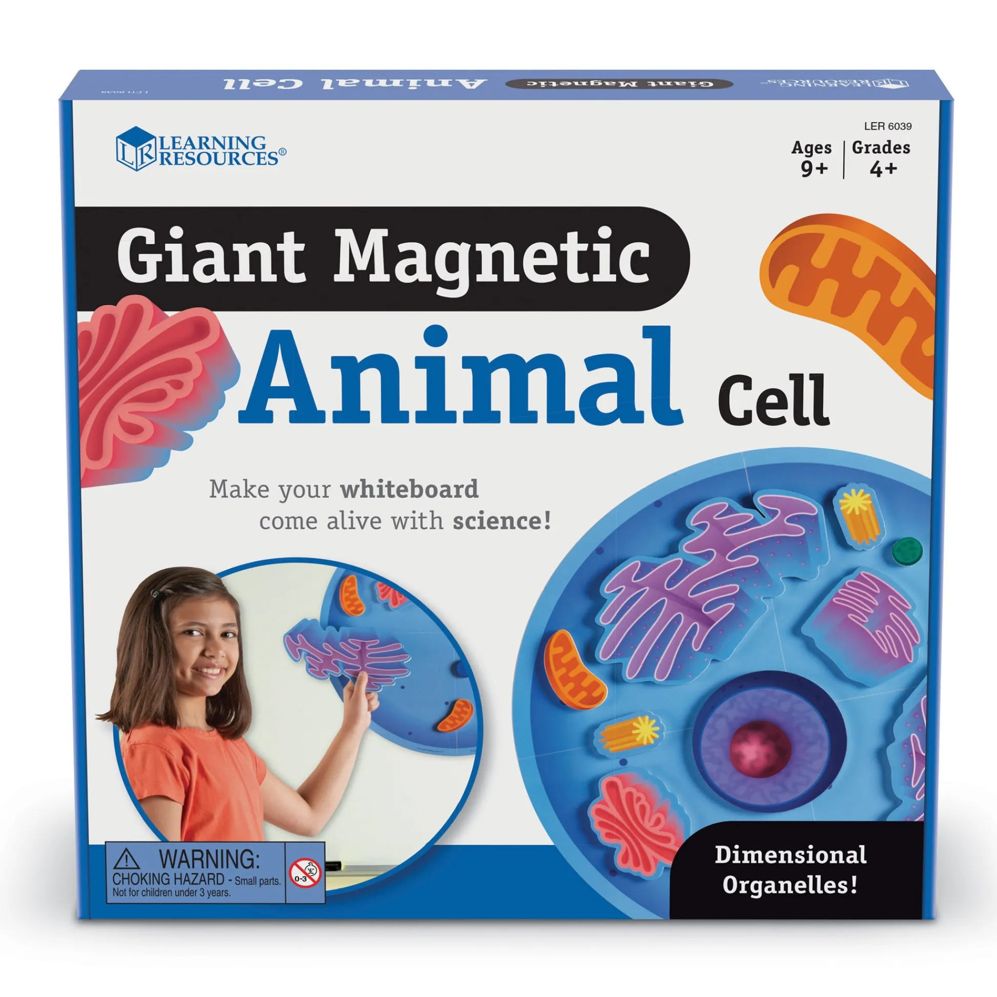 Educators Resource Learning Resources Giant Magnetic Animal Cell Model - Educational Toy* Science & Discovery
