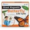 Educators Resource Learning Resources Giant Magnetic Butterfly Life Cycle - Interactive Set of 9* Science & Discovery