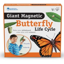 Educators Resource Learning Resources Giant Magnetic Butterfly Life Cycle - Interactive Set of 9* Science & Discovery