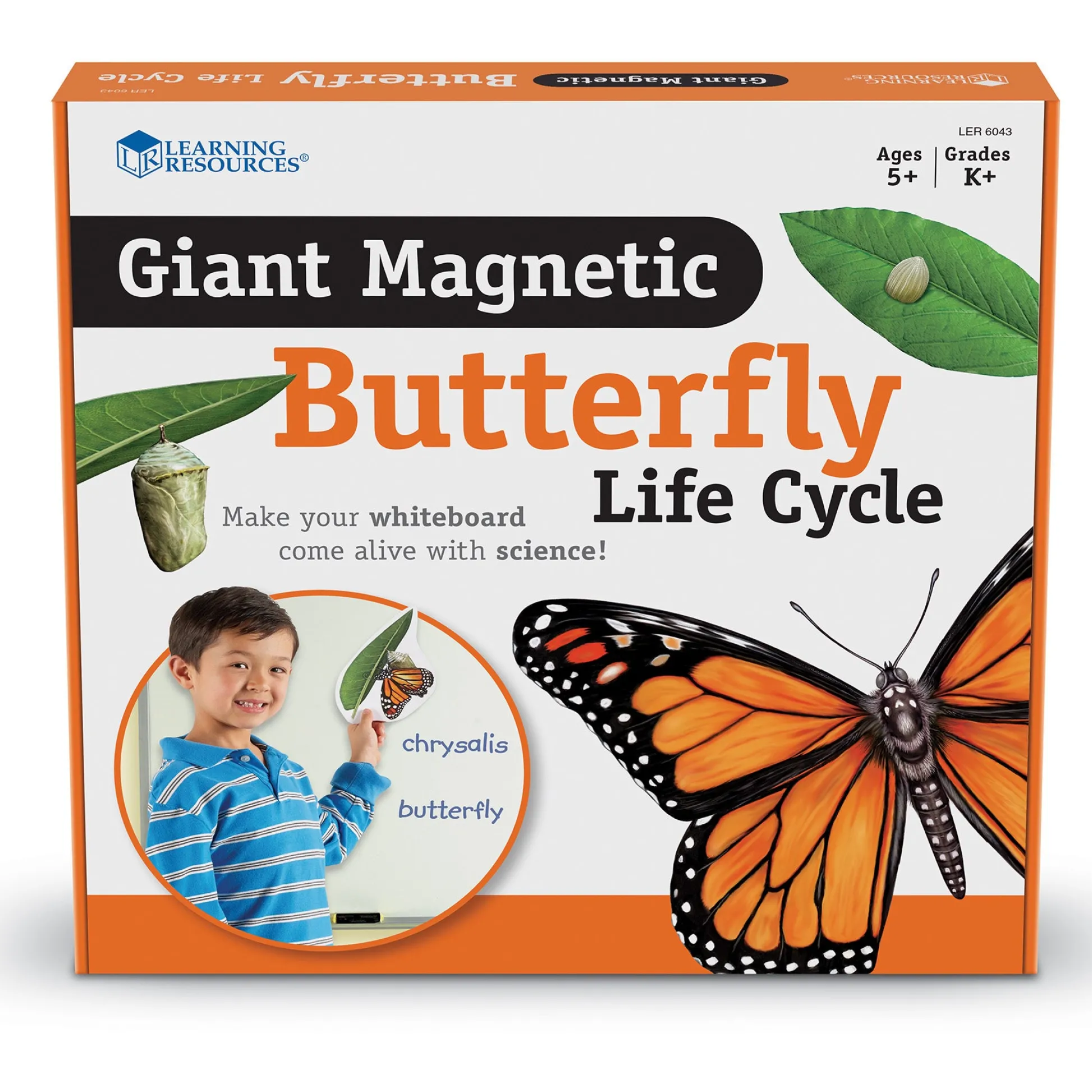 Educators Resource Learning Resources Giant Magnetic Butterfly Life Cycle - Interactive Set of 9* Science & Discovery
