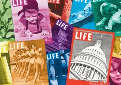 The Distribution Solutions Life Brand 85th Anniversary Jigsaw Puzzle - 1000 pc* Puzzles