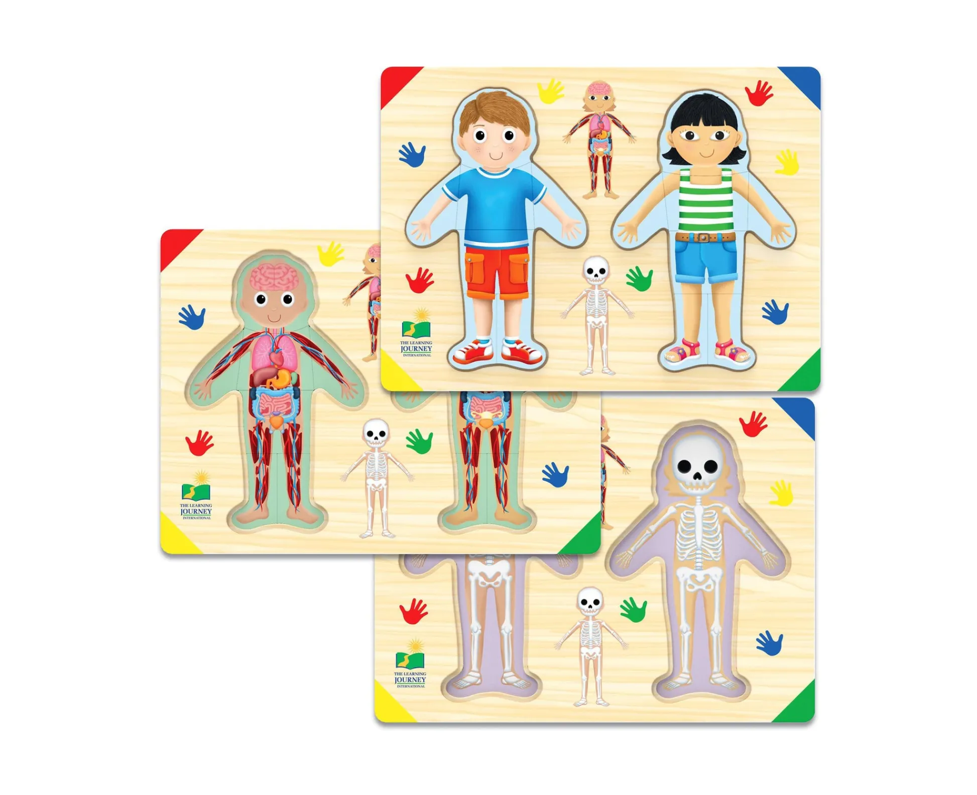 AreYouGame Lift & Learn Anatomy Adventure Puzzle - Inside of Me - 28 Pcs* Puzzles