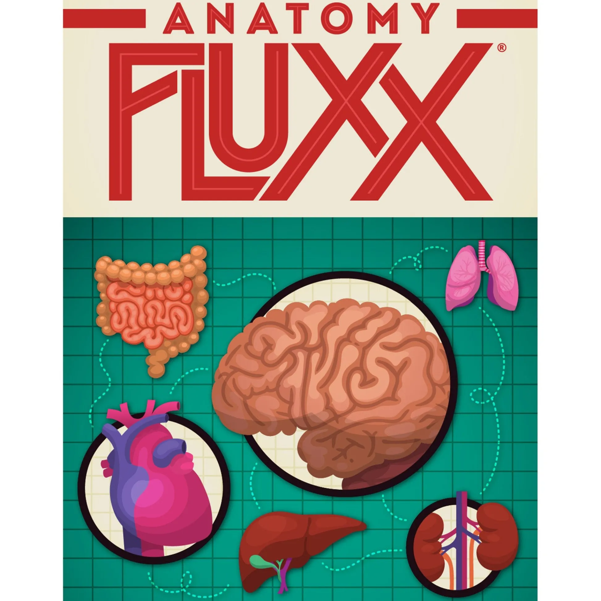 Educators Resource Looney Labs Anatomy Fluxx Educational Card Game* Card Games