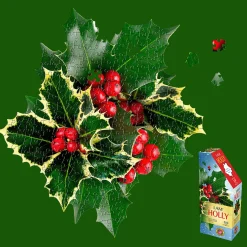 Maddcapp Games Madd Capp Floral Holly Jigsaw Puzzle - 350 pc* Puzzles