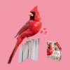 Maddcapp Games Madd Capp I AM Cardinal - Unique Bird-Shaped 300 pc Jigsaw Puzzle* Puzzles