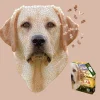 Maddcapp Games Madd Capp I AM Lab Animal Head-Shaped Jigsaw Puzzle - 550 pc* Puzzles