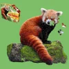 Maddcapp Games Madd Capp I AM LiL' RED PANDA Jigsaw Puzzle - 100 pc* Puzzles