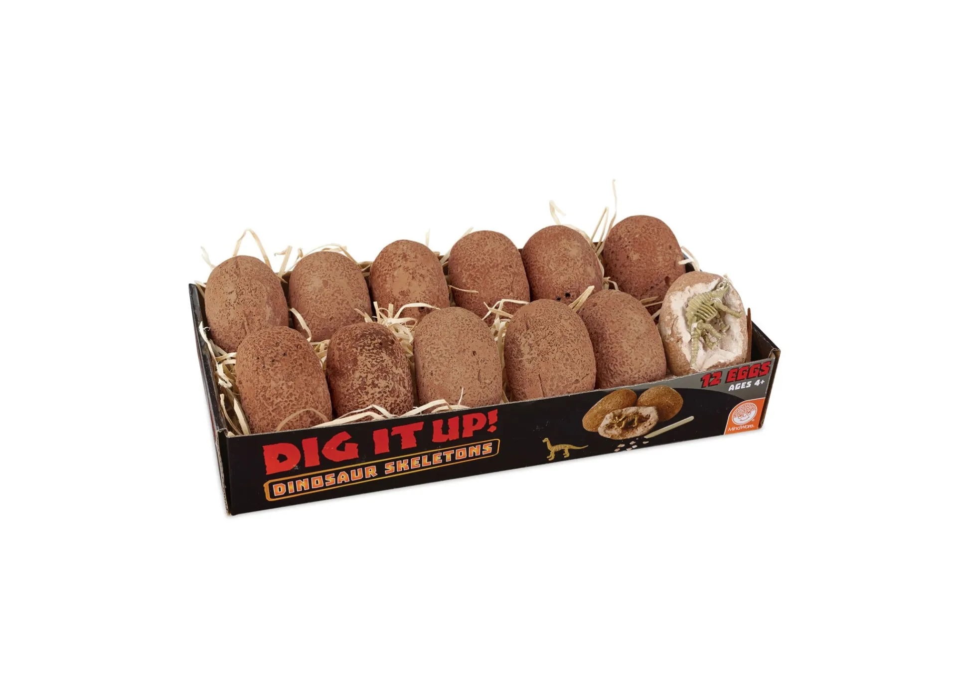 AreYouGame MindWare Dig It Up! Dinosaur Skeletons Excavation Kit* Clay, Dough & Sand Art