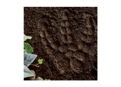 AreYouGame MindWare Dinosaur Footprint Paint-Your-Own Stepping Stone Kit* Crafts & Activities