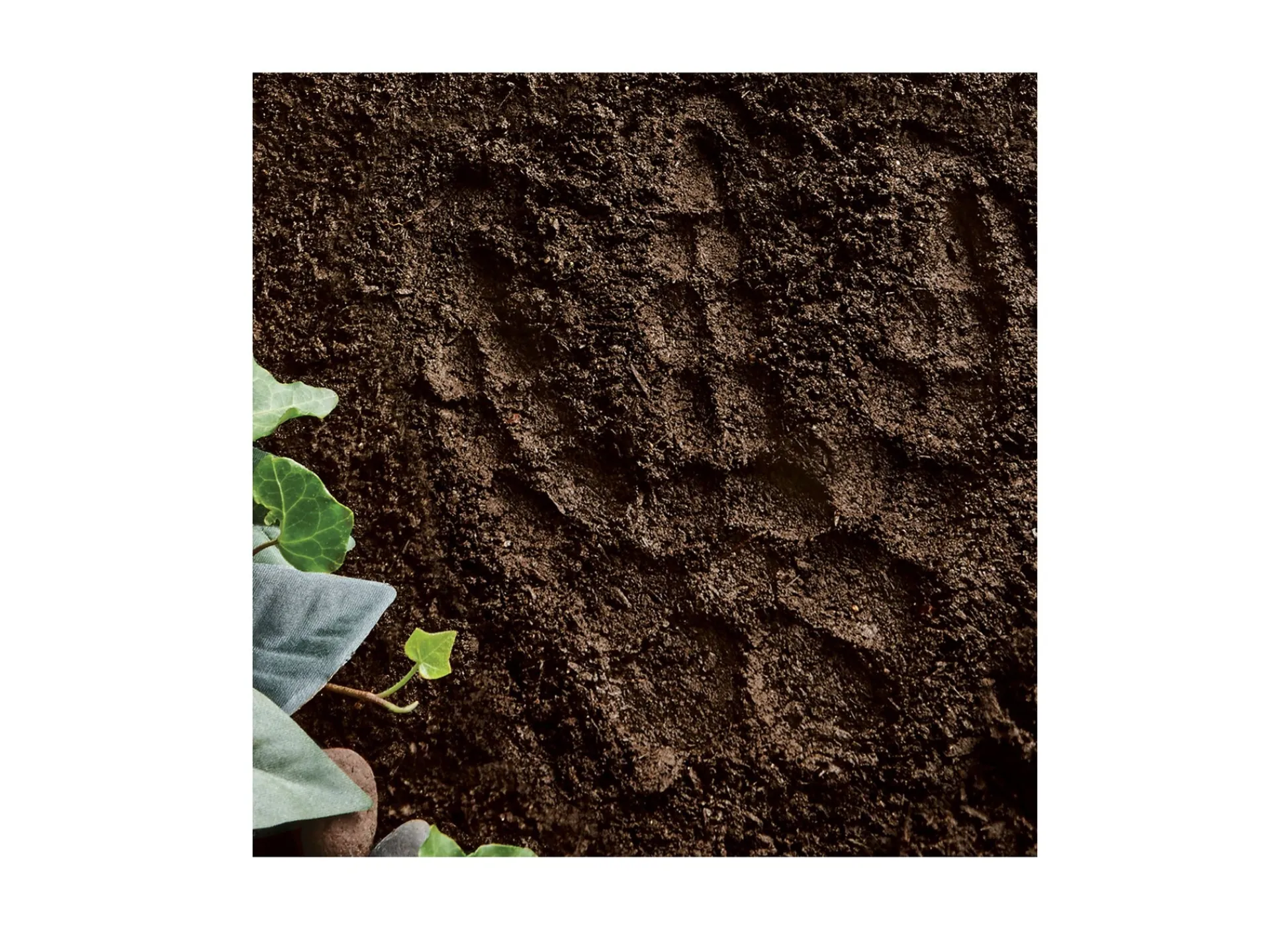AreYouGame MindWare Dinosaur Footprint Paint-Your-Own Stepping Stone Kit* Crafts & Activities