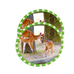 Educators Resource MOJO Seek and Peek Mommy and Me Animal Memory Match Game* Toddler & Preschool Games & Puzzles