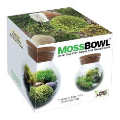 AreYouGame MossBowl - Cultivate Your Personal Green Zen Space* Crafts & Activities