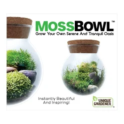 AreYouGame MossBowl - Cultivate Your Personal Green Zen Space* Crafts & Activities
