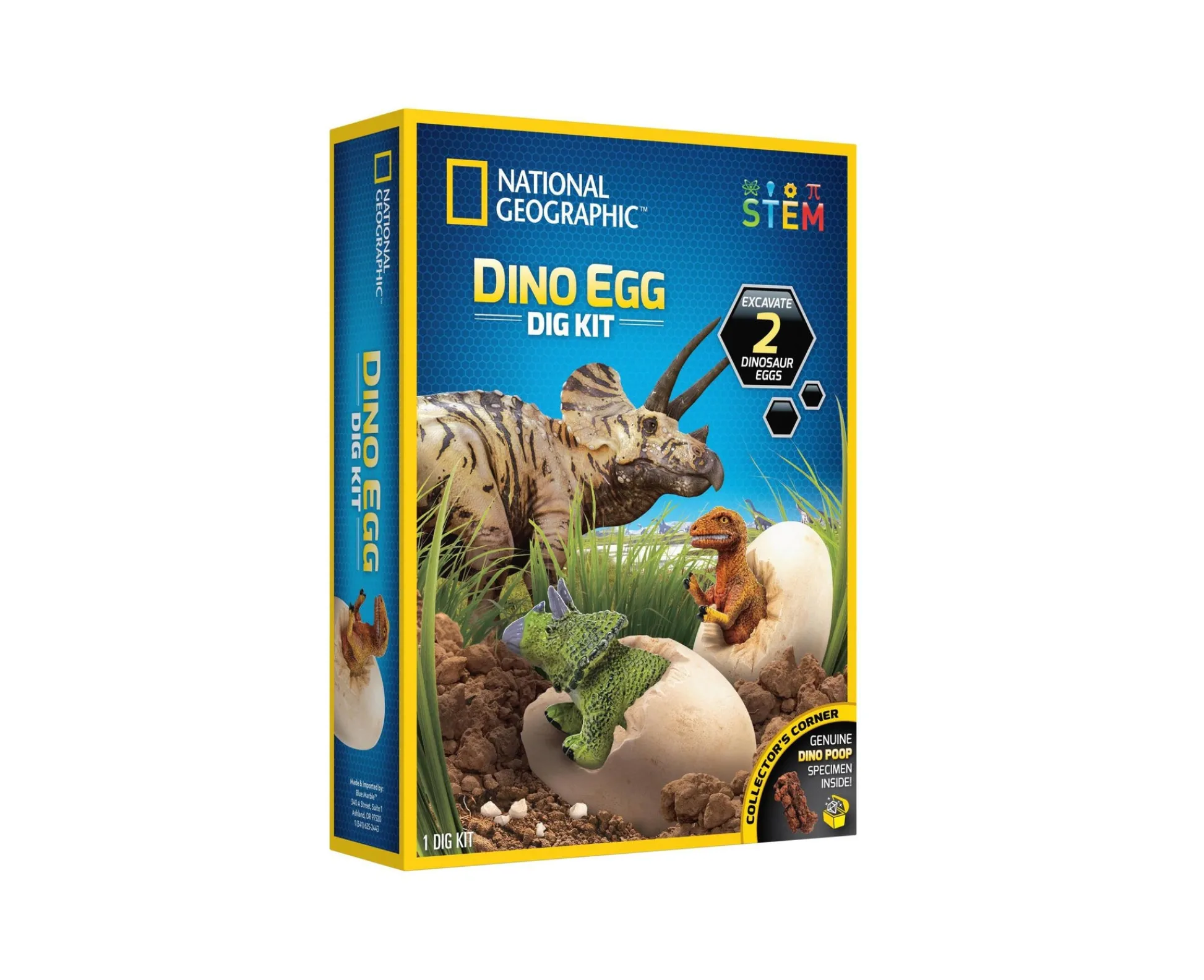 Macy's - Supplier National Geographic Dino Egg Dig Kit – Excavate Real Dinosaur Figures* Science & Discovery