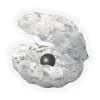 AreYouGame Pearlescent Wonder 3D Crystal Puzzle - Enigmatic Shell Design* Puzzles