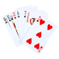 Calendar Holdings, LLC Peter Pro Premier Plastic Dual Deck Playing Cards* Card Games